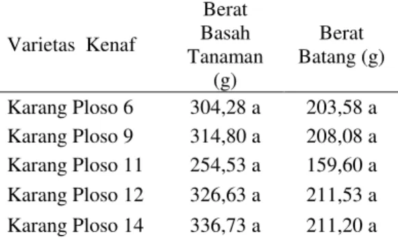 Tabel 2. Tinggi tanaman dan diameter                 pangkal  batang beberapa                varietas kenaf   Varietas Kenaf  Tinggi  Tanaman  (cm)  Diameter Pangkal Batang  (cm)  Karang Ploso 6  234,20 a  0,95 a  Karang Ploso 9   218,40 ab  0,93 a  Karang