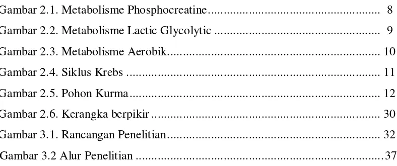 Gambar 2.1. Metabolisme Phosphocreatine ......................................................