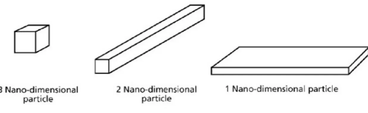 Figure 2.1. Different types of nanoparticles [22]  