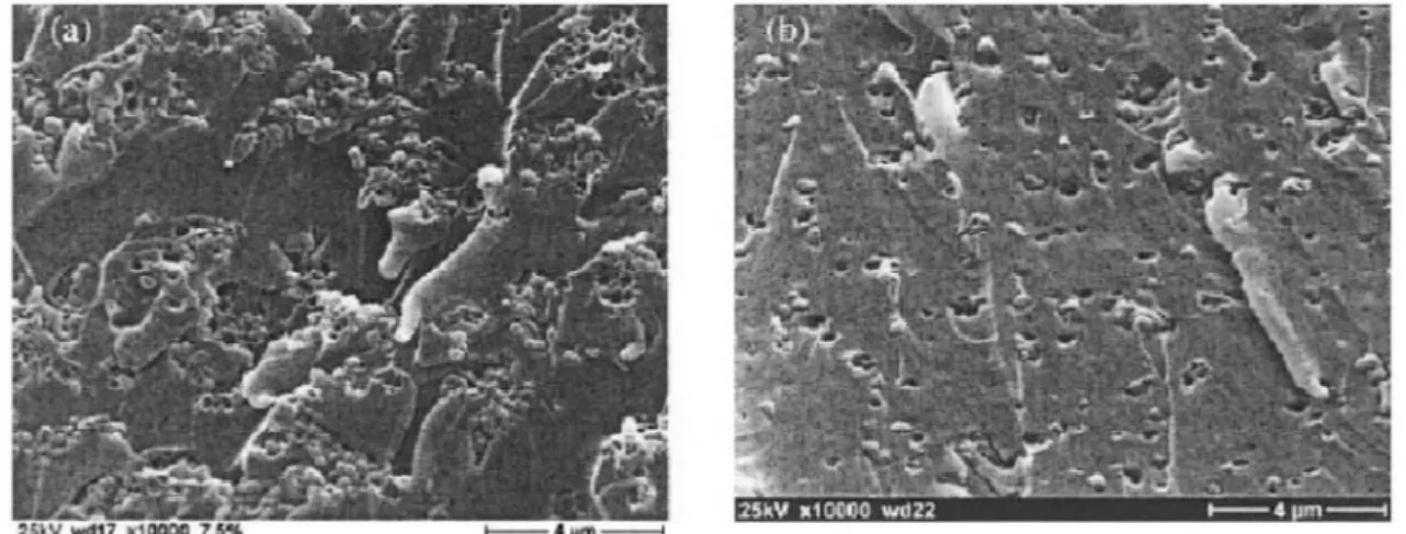 Figure 2.5. Fracture surface of epoxy resin with (a) undispersed (b) well dispersed 