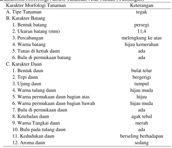 Tabel 3. Karakteristik Morfologi Aksesi Tanaman Asal Sibolangit 