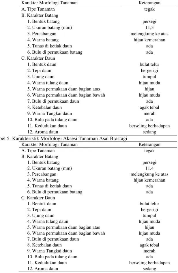 Tabel 5. Karakteristik Morfologi Aksesi Tanaman Asal Brastagi 