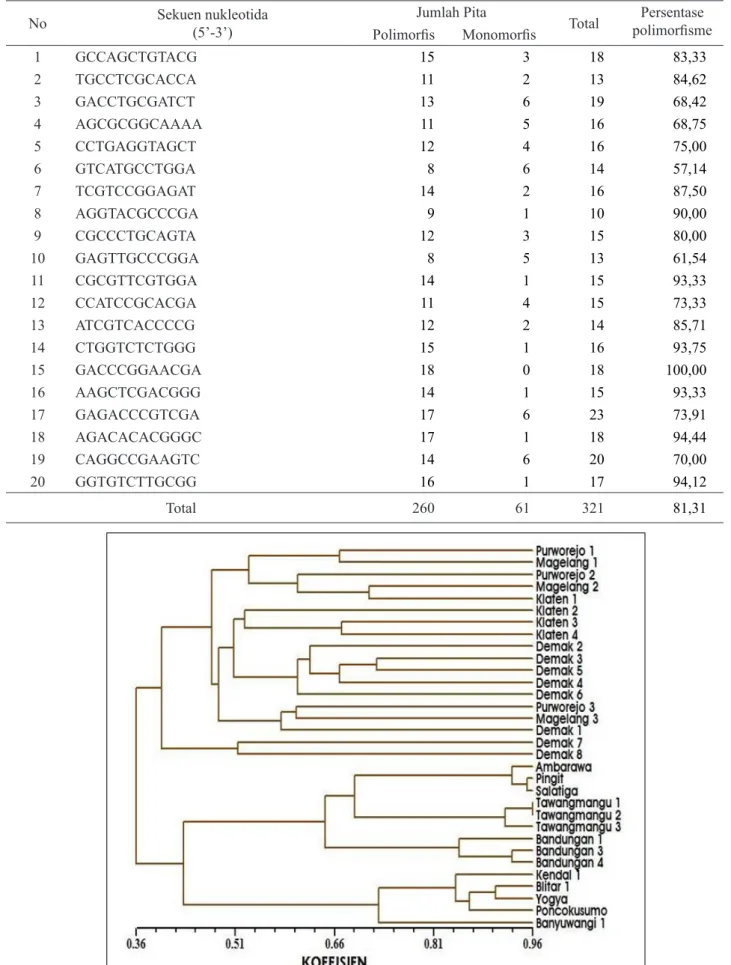 Tabel 3.  Pita hasil amplifikasi dengan penanda RAPD (Amplification result of RAPD markers on longan accessions)