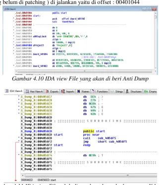 Gambar 4.10 IDA view File yang akan di beri Anti Dump 