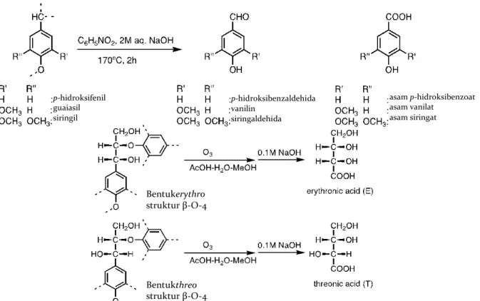 Gambar 2. Metode oksidasi nitrobenzena alkali dan ozonasi lignin. Erythronic acid adalah produk ozonasi dari bentuk 