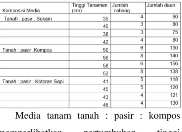 Tabel  1.  Tinggi  Tanaman,  Jumlah  Cabang  dan  Jumlah  Daun  Tanaman  Cabai  merah  di  Dalam  Pot  dengan  Media  Tanam yang Berbeda 
