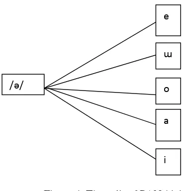 Figure 4: The split of PAN */ә/ 
