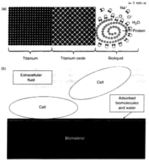 FIGURE 38.8 Chemical change of titanium implant surface of alkali following heat treatment [Kim et al, 1996]