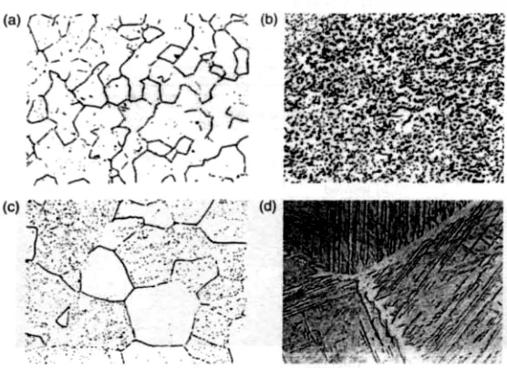 FIGURE 38.5 Microstructure of Ti alloys (all are 500X) [Hille, 1966]. (a) ααββ