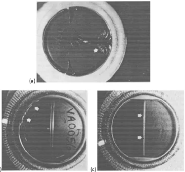 FIGURE 44.6 Photographs showing pitting on pyrolytic carbon surface of a mechanical heart valve