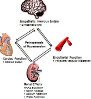 Gambar 1. Sistem yang terlibat dalam hipertensi (Delacroix  et al., 2014). 