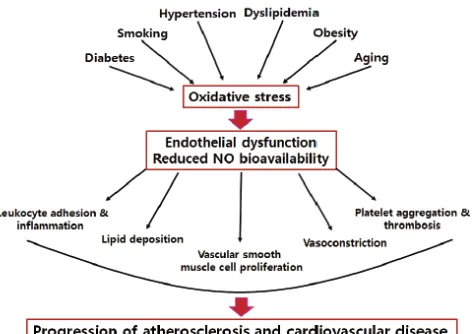 Gambar 6. Faktor risiko aterosklerosis yang dimediasi oleh stres oksidatif  dan ED (Park and Park, 2015)