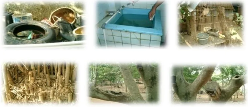 Gambar 9. Tempat penampungan air yang ada di sekitar rumah (atas) dan di sekitar kebun (bawah) Sumber: http//dinus.ac.idrepositorydocsajarmakalah-supartha-baru.pdf 