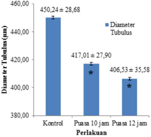 Gambar 3. Rata-rata Diameter Tubulus Seminiferus  Kelompok  Kontrol  (K0),  Puasa  10  Jam  (K1) dan Puasa 12 Jam (K2) 