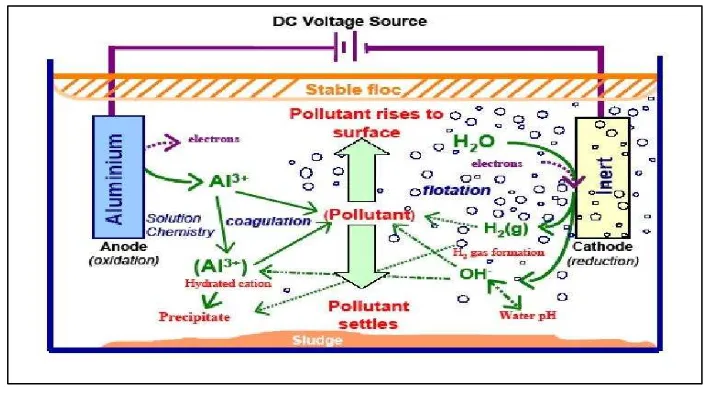 Gambar 2. 1 Mekanisme dalam proses elektrokoagulasi (Holt et al., 2006). 