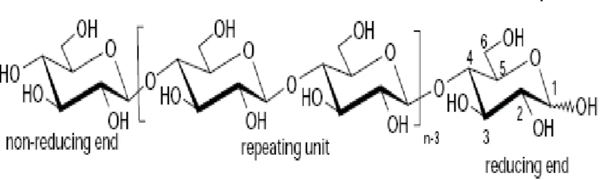 Gambar 11. Struktur Kimia Selulosa (Sixta, 2006) 