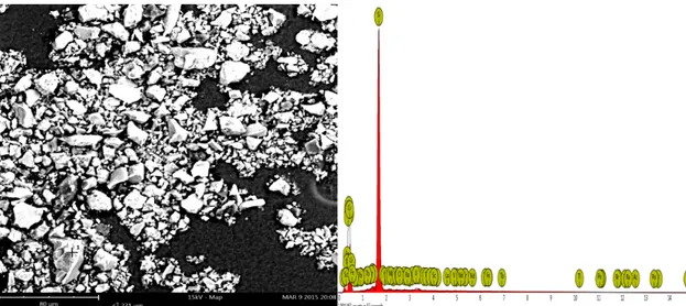Gambar 2. Hasil SEM EDS spot 1 Fosil Kayu Araucarioxylon  Tabel 1. Kandungan MineralHasil spot 1 Fosil Kayu Araucarioxylon 