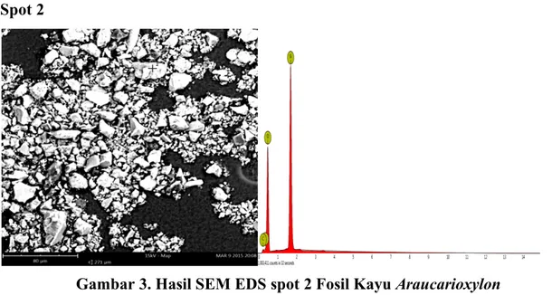Gambar 4. Hasil SEM EDS spot 3 Fosil Kayu Araucarioxylon  Tabel3.Kandungan mineral Hasil spot 3 Fosil Kayu Araucarioxylon 
