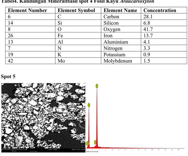 Gambar 6. Hasil SEM EDS spot 5 Fosil Kayu Araucarioxylon 