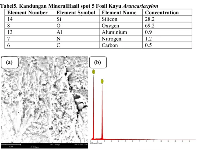 Gambar 7. Morfologi fosil kayu petrisian hasil SEM EDS 