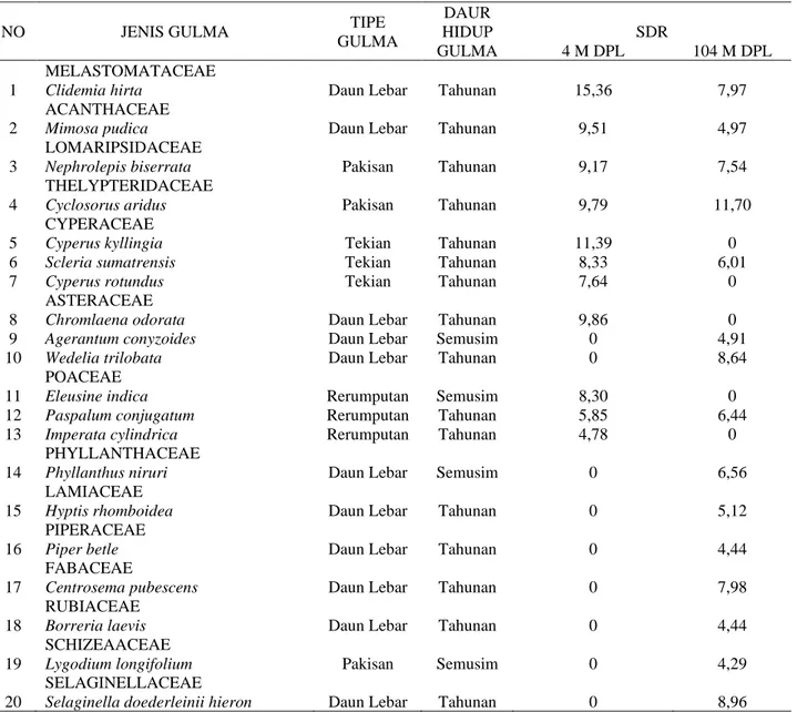 Tabel 2. Nilai SDR tanaman karet di daerah penelitian pada ketinggian 4 m dpl dan 104 m dpl 