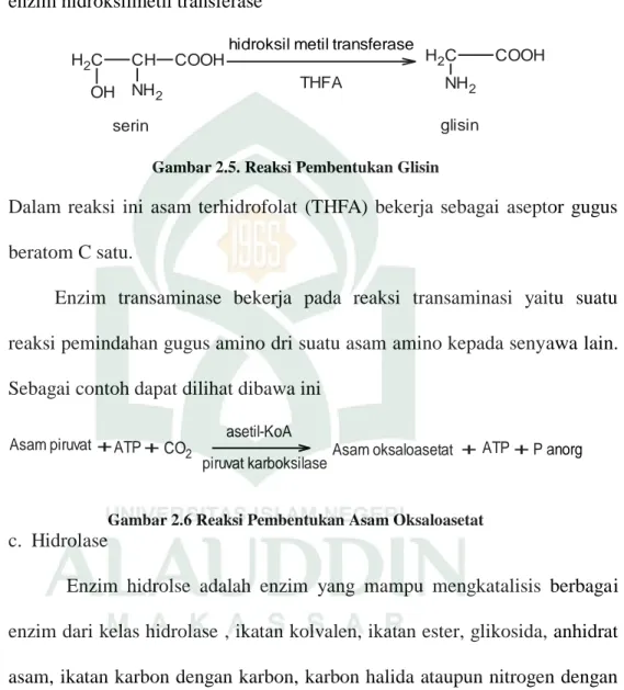 Gambar 2.5. Reaksi Pembentukan Glisin 