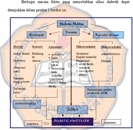 Gambar 1. Patofisiologi Ulkus diabetik 