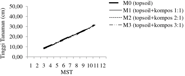 Gambar 5. Grafik perkembangan tinggi tanaman 3-12 MST dengan perlakuan                     perbandingan media tanam 