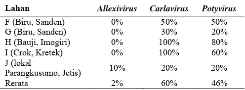 Tabel 1. Tingkat infeksi virus patogen bawang merah pada musim hujan tahun 2014  