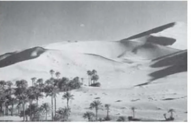 Gambar 2.6 gumuk pasir atau pengendapan oleh Angin  d) Pengendapan oleh gletser 