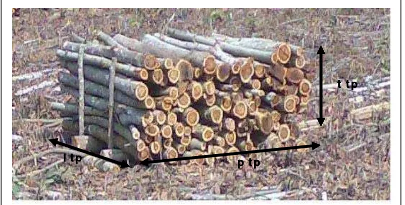 Gambar tumpukan kayu bundar rimba sortimen KBK yang Mempunyai ukuran diameter lebih kecil dari 30 Cm