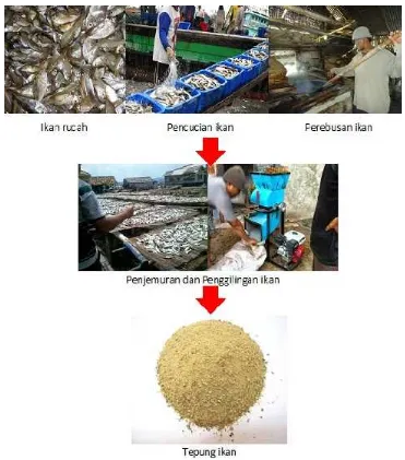 Gambar 2. Proses pembuatan tepung ikan