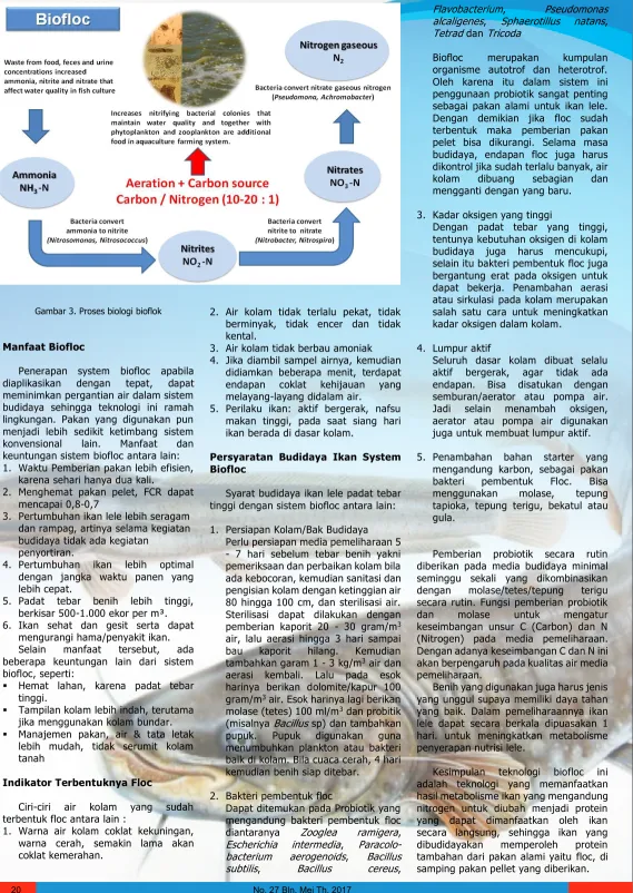 Gambar 3. Proses biologi bioflok 