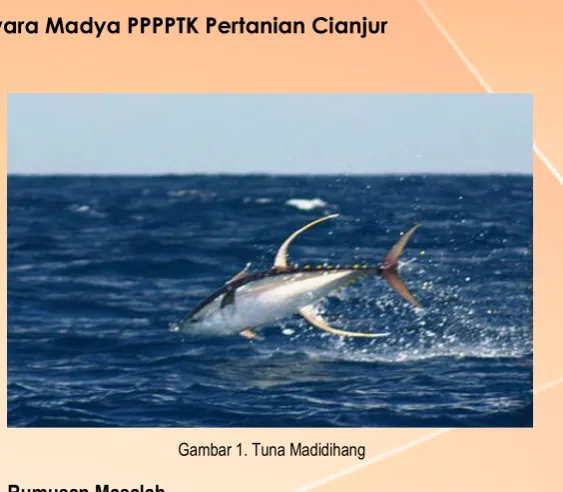 Gambar 1. Tuna Madidihang 