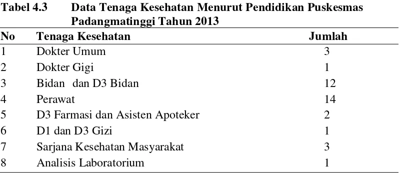 Tabel 4.2 Data Distribusi Penduduk Berdasarkan Golongan Umur dan Jenis Kelamin di Wilayah Kerja Puskesmas Padangmatinggi Tahun 2013 