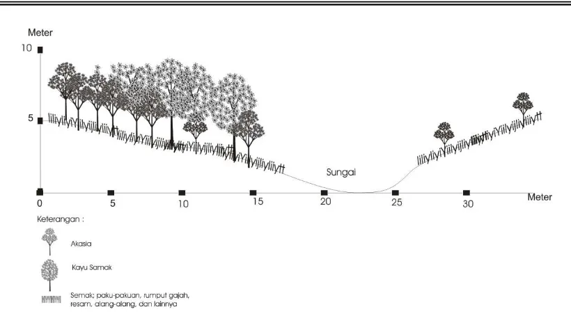 Gambar 4.5. Formasi vegetasi hutan sekunder di Pulau Bintan 