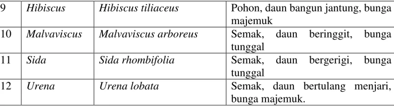 Tabel Jumlah Genus Malvaceae 