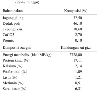 Tabel 2.  Ransum  ayam  petelur  selama  pengamatan   (22-42 minggu) 