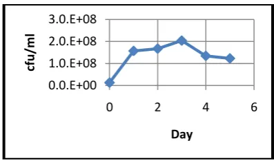 Figure 2. The Results of the TPC curve using bacteria  Rhizopus oryzae  