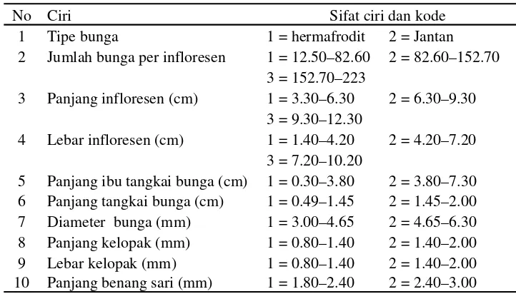 Tabel 2. Ciri dan sifat ciri vegetatif yang dijumpai pada kapulasan, serta kode yang digunakan untuk me-nyusun hubungan kekerabatannya (Lanjutan) 