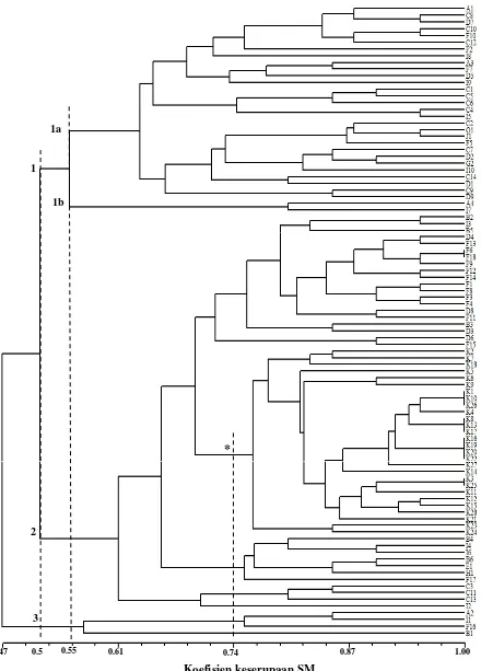 Gambar 3. Dendrogram kapulasan berdasarkan karakter morfologi  vegetatif yang dibangun dengan indeks 
