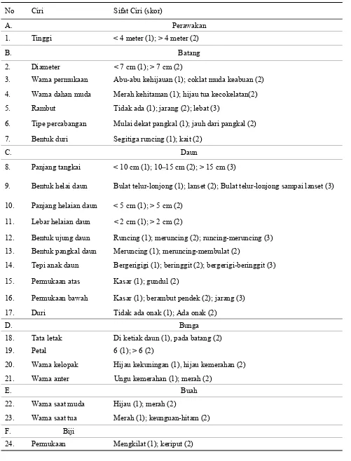 Tabel 1. Karakter dan sifat karakter morfologi Andaliman 
