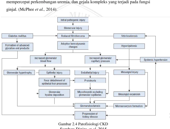 Gambar 2.4 Patofisiologi CKD 
