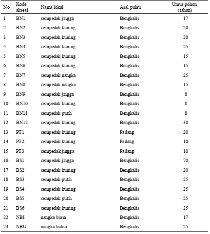 Tabel 1  Aksesi-aksesi cempedak dan nangka di Pulau Bengkalis dan Pulau Padang, Riau 
