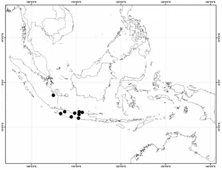 Figure 5. Distribution of P. koordersianus based on specimen localities.