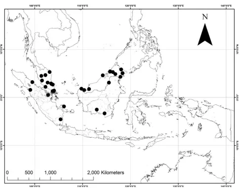 Figure 7. Distribution of P. sumatranus based on specimen localities.