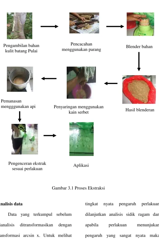 Gambar 3.1 Proses Ekstraksi