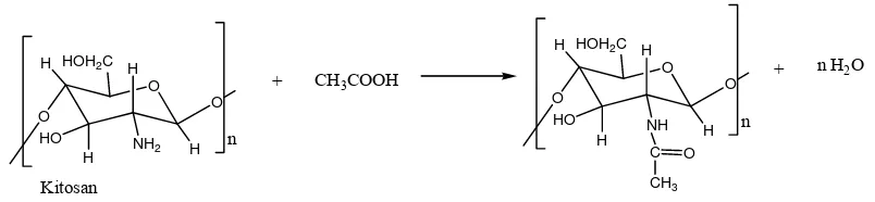 Gambar 2.5  Reaksi Pembentukan N- Asetil Kitosan dari kitosan. 