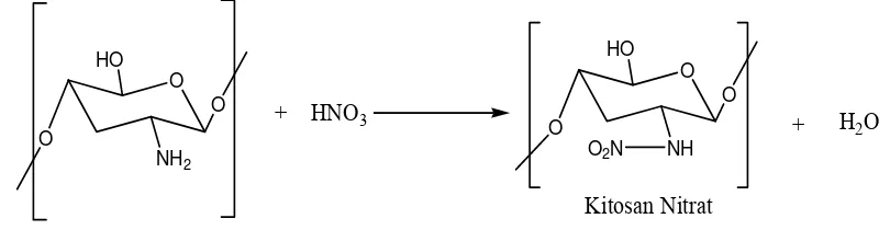 Gambar 2.11 Reaksi Pembentukan Kitosan Nitrat dari Kitosan.                