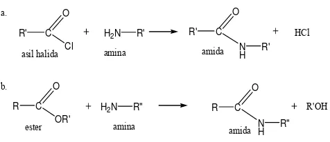 Gambar 2.16   Reaksi Pembentukan Amida Dari Derivat Asam Karboksilat. 